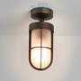 Иконка Astro Lighting 7853 1368011 Cabin Semi Flush Frosted