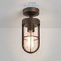 Иконка Astro Lighting 7851 1368009 Cabin Semi Flush
